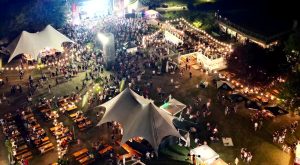Jamrock Festival, il programma 2024: Marlene Kuntz, Nitro, Tre allegri Ragazzi Morti, e tanti altri