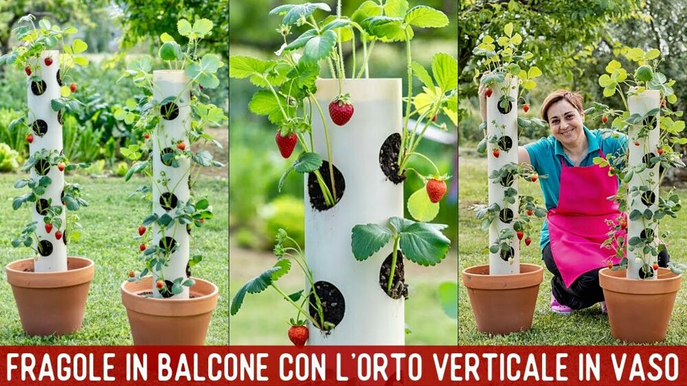 Come fare il giardino o l'orto verticale