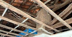 Lavori urgenti per la risistemazione del tetto di palazzo Trissino