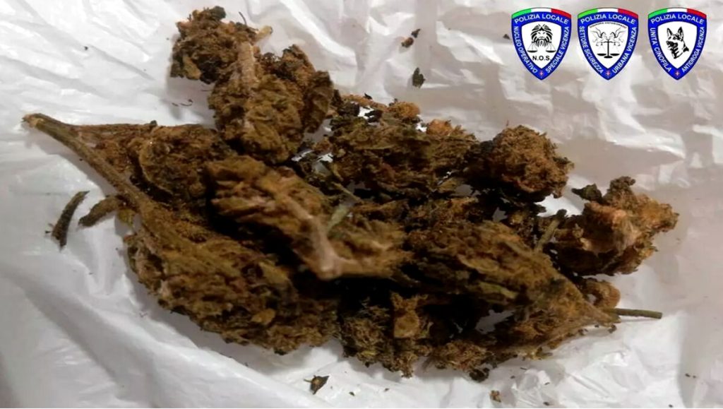 Droga, segnalate otto persone: nei guai anche due minori