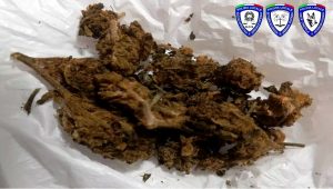 Droga, segnalate otto persone: nei guai anche due minori