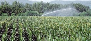 Cifre da record, Vicenza e Treviso al primo posto per capitale assicurato in agricoltura
