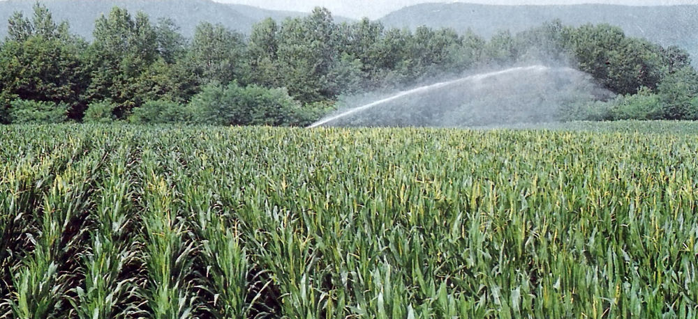Cifre da record, Vicenza e Treviso al primo posto per capitale assicurato in agricoltura