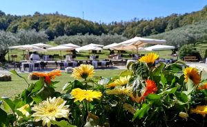 Ferragosto al Rovere: Liberty Splash Party