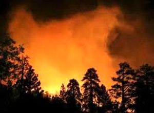 Incendi boschivi, stato di grave pericolosità anche nel Vicentino