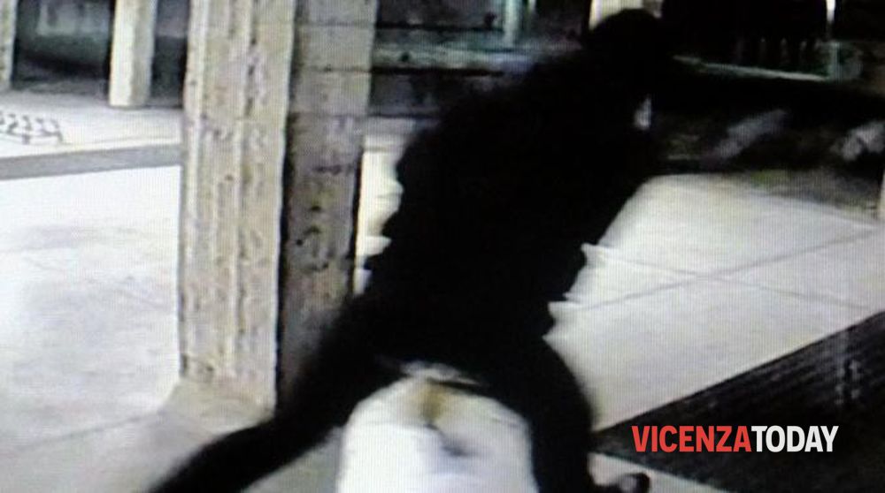 Ruba una borsa in un negozio, ladro rintracciato grazie alle telecamere