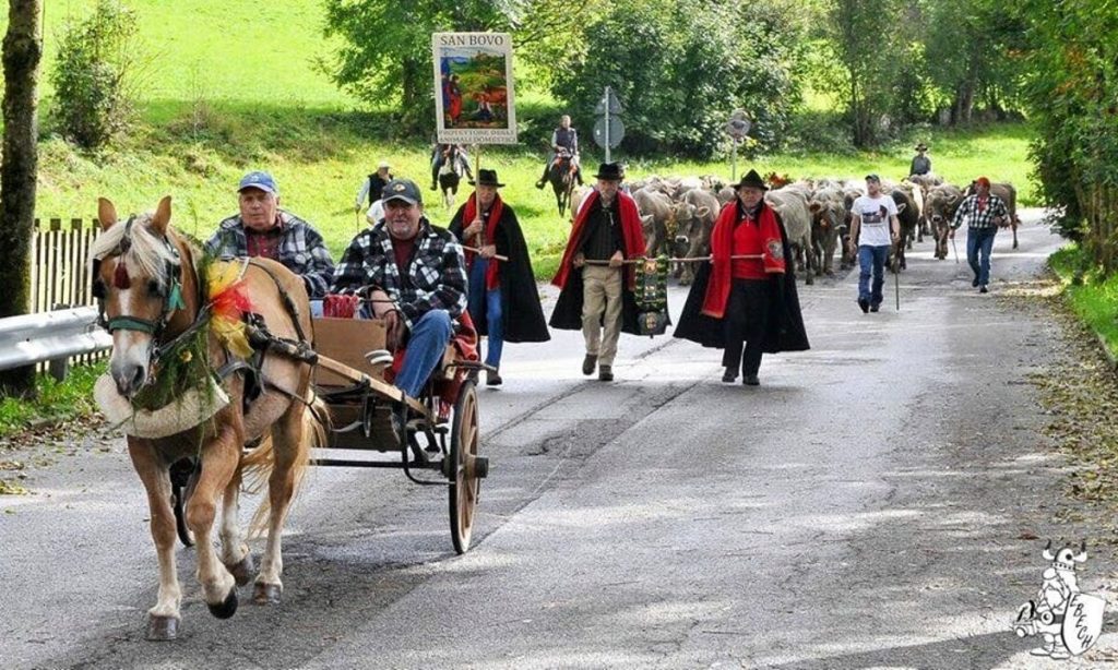 Scargar Malga a Gallio, la festa per il ritorno delle mucche in pianura