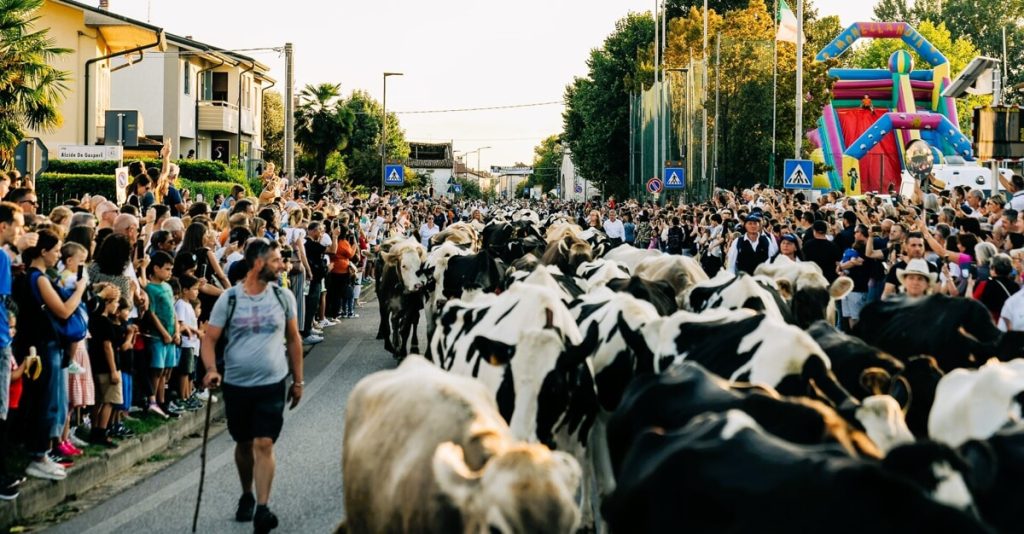 Festa della Transumanza a Bressanvido