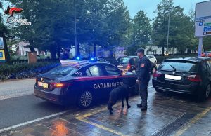 Controlli nell'Alto Vicentino: denunce per droga, furti e armi