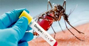 Virus Dengue, individuato un focolaio autoctono nel Vicentino