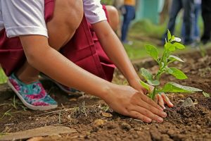 Lavoratori con competenze green introvabili