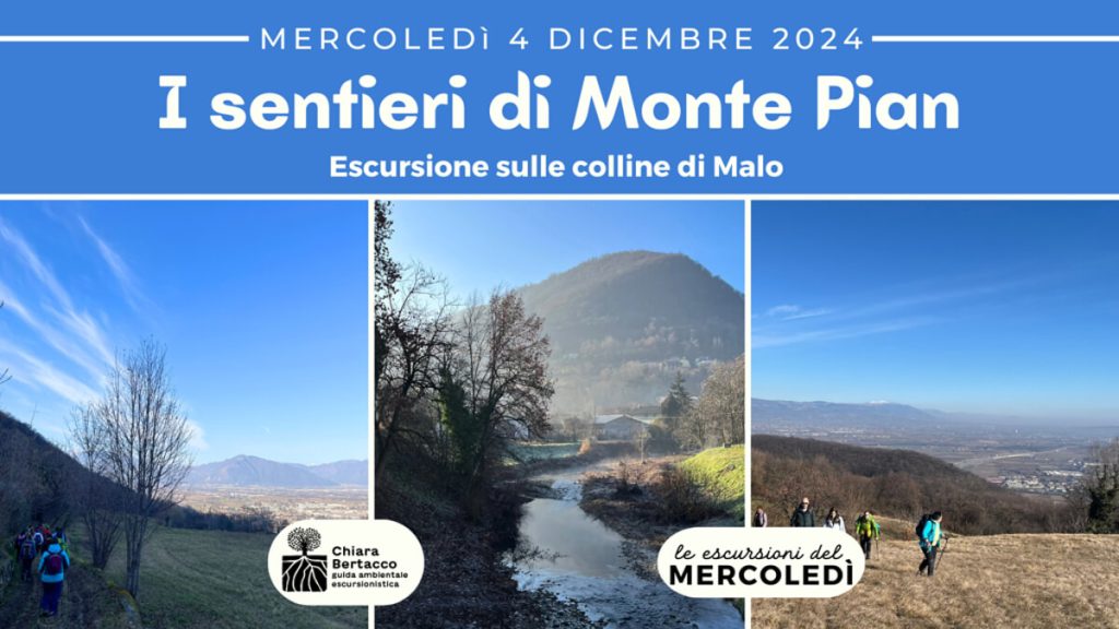 I sentieri di monte Pian | escursione sulle colline di Malo