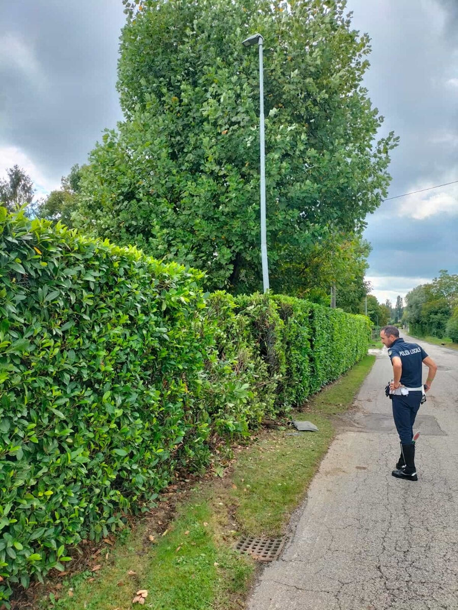 Escono di strada con l'auto danneggiando beni pubblici e poi fuggono, responsabili incastrati dalle telecamere