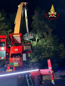 Piante pericolanti, interventi nella notte dei vigili del fuoco