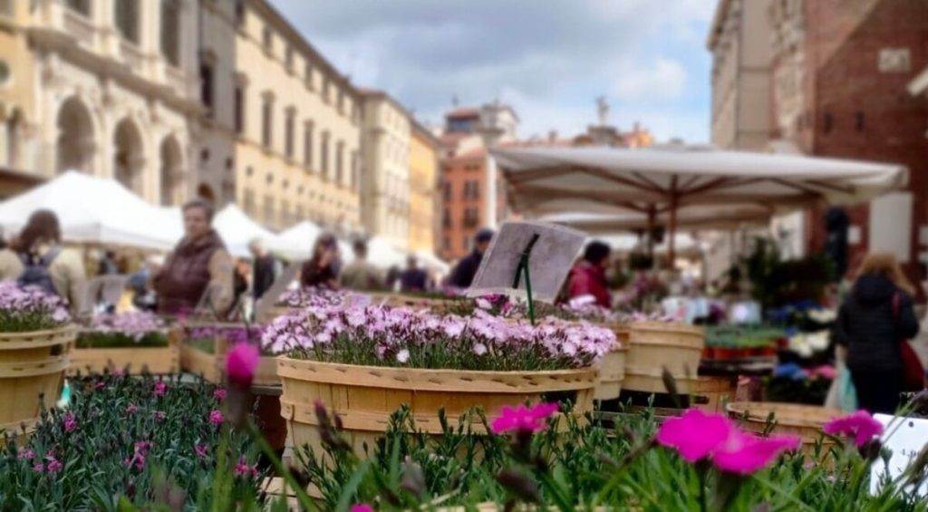 Cosa fare a Vicenza e provincia questo weekend, dal 25 al 27 ottobre