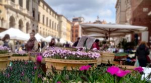 Cosa fare a Vicenza e provincia questo weekend, dal 25 al 27 ottobre