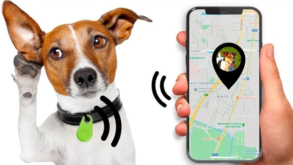 Come funziona il localizzatore per cani e gatti