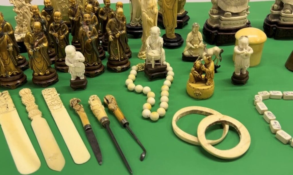 Commercio illegale di manufatti in avorio, passati al setaccio i mercatini dell'antiquariato