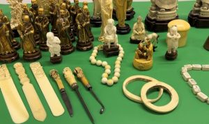 Commercio illegale di manufatti in avorio, passati al setaccio i mercatini dell'antiquariato
