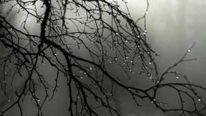 Meteo, le previsioni per il weekend: piogge sparse e tempo variabile