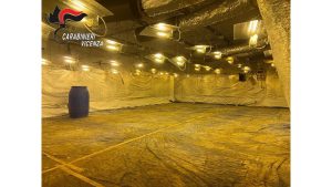 Serra di marijuana in un capannone industriale, sequestrata l'intera area