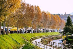 Cosa fare a Vicenza e provincia questo weekend, dal 22 al 24 novembre