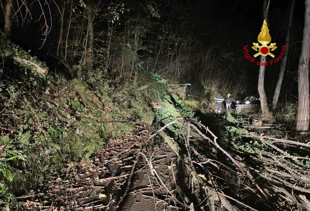Alberi caduti bloccano la strada: i vigili del fuoco liberano la carreggiata