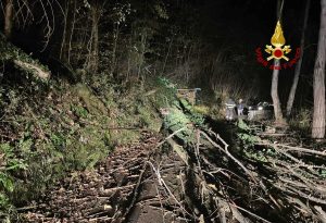 Alberi caduti bloccano la strada: i vigili del fuoco liberano la carreggiata