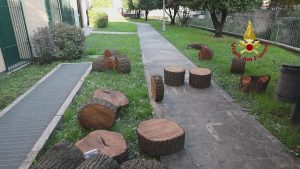 Alberi sradicati durante il maltempo, i vigili del fuoco liberano l'argine (VIDEO)