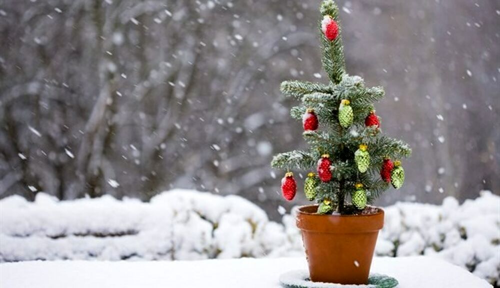 Alberi di Natale piccoli: la magia natalizia anche se hai poco spazio