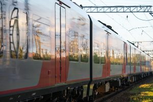 In treno con Micio e Fido: come viaggiare in sicurezza e senza stress
