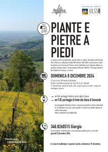 Piante e pietre a piedi, escursione in collina