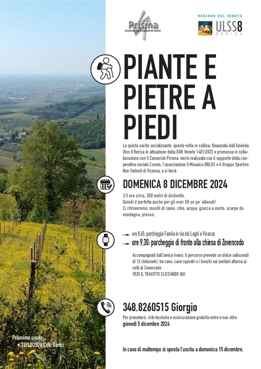 Piante e pietre a piedi, escursione in collina