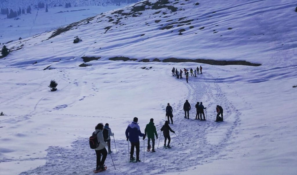 Marcesina, ciaspolata nel profondo nord