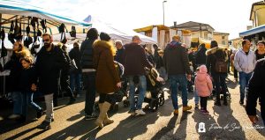 Fiera di San Valentino a Pozzoleone, il programma