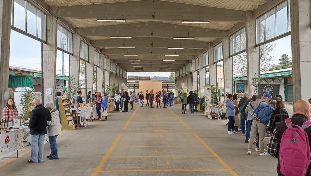 Domenica ecologica a Vicenza, il programma