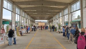 Domenica ecologica a Vicenza, il programma