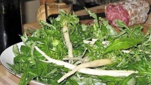 Cena degustazione con il Ranpussolo all'Agriturismo Belvedere di Villaga
