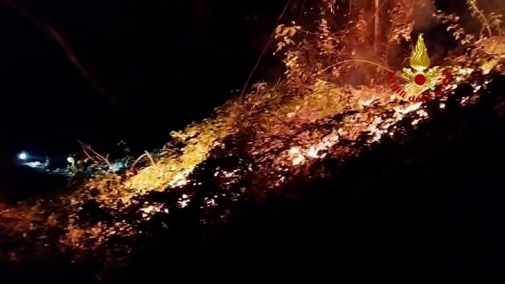 Brucia il sottobosco, in fiamme oltre due ettari di vegetazione