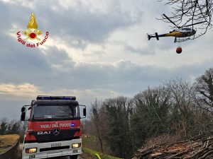 Incendio nel sottobosco, operazioni di spegnimento ancora in corso