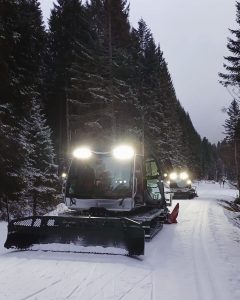 Nevicata sulle montagne venete: accumuli fino a 30 cm