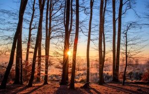 Ben arrivato febbraio: le previsioni