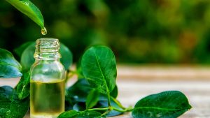 Tea tree oil: come usarlo per igienizzare e far splendere tutta la casa