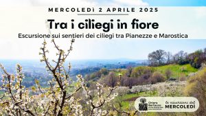 Tra i ciliegi in fiore | escursione tra Pianezze e Marostica