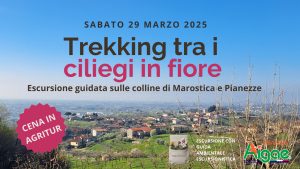 Trekking tra i ciliegi in fiore: escursione guidata sui colli di Marostica e Pianezze con cena in agriturismo